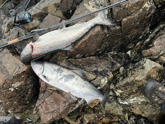 Shore Jigging Tips for Salmon (Vancouver Island Guide)